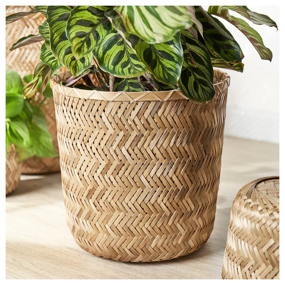 Wicker basket planter with green plant. Natural colour, handwoven bamboo. Round shape and herringbone design.