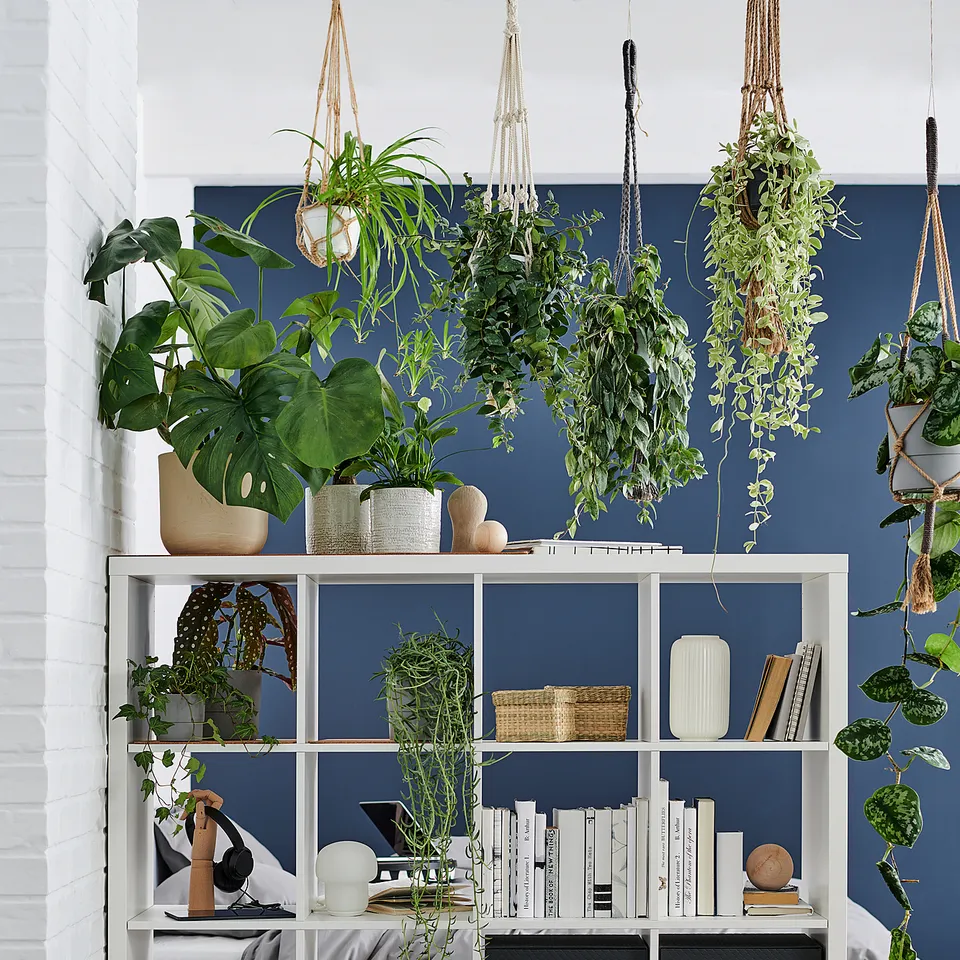 part: KALLAX shelving unit