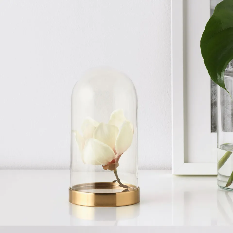 Clear glass dome on gold base displaying white flower on table.