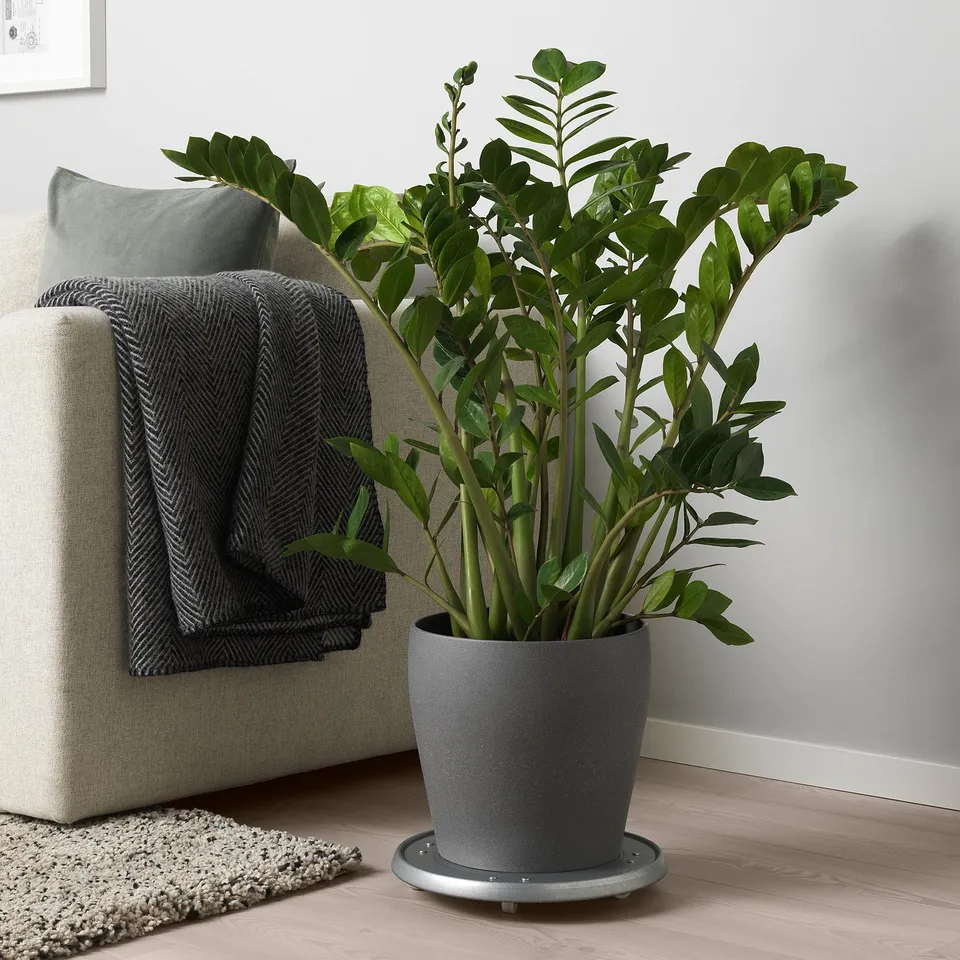part: PERSILLADE plant pot