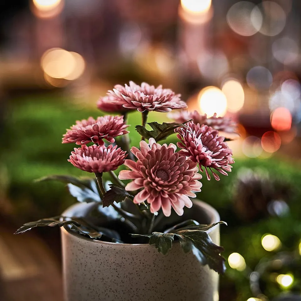 FEJKA Artificial potted plant, in/outdoor/Chrysanthemums pink, 9 cm
