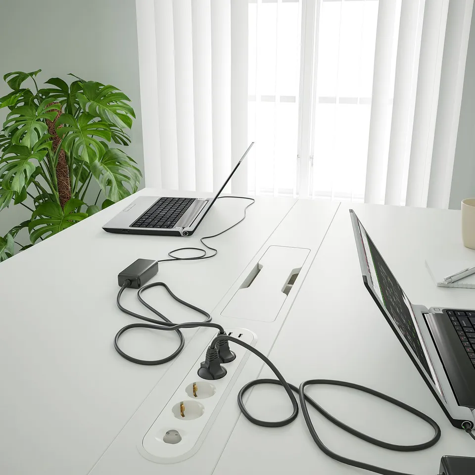 Modern office with dual laptops, neat cables, window blinds, and large plant.