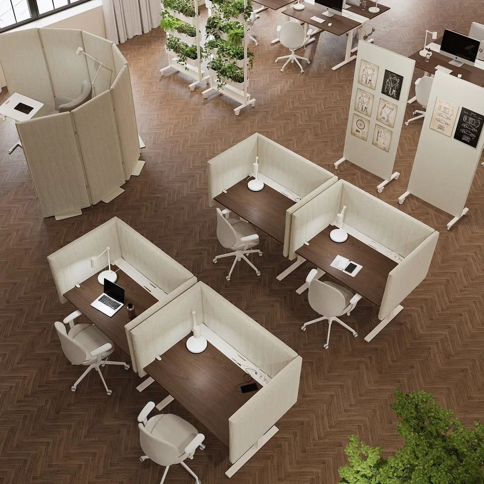 Modern office with MITTZON desks, beige acoustic screens, laptops, and plants. Screens divide workspaces, promoting focus.