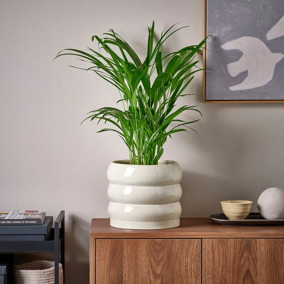 part: HASSELBUKETT plant pot