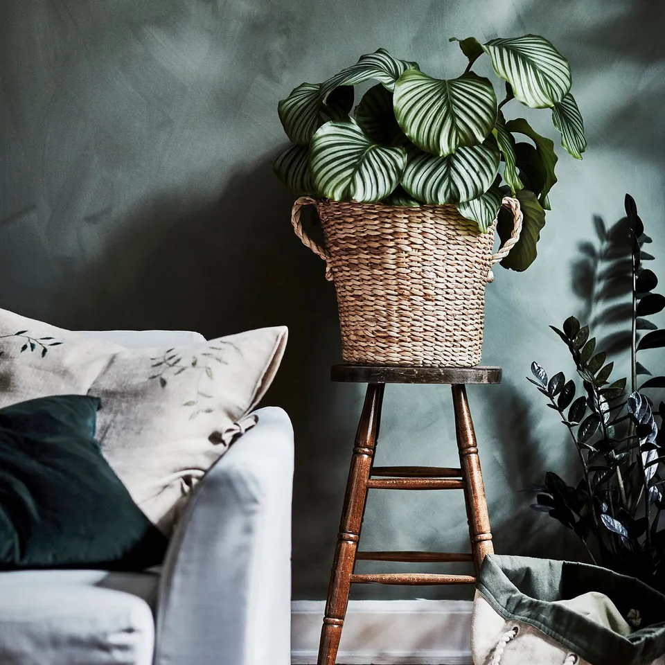 part: TÖRNBÄR plant pot