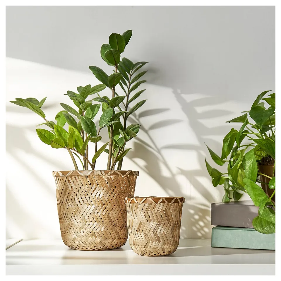 Two woven bamboo plant pots, one larger, one smaller, holding green leafy plants on a shelf.