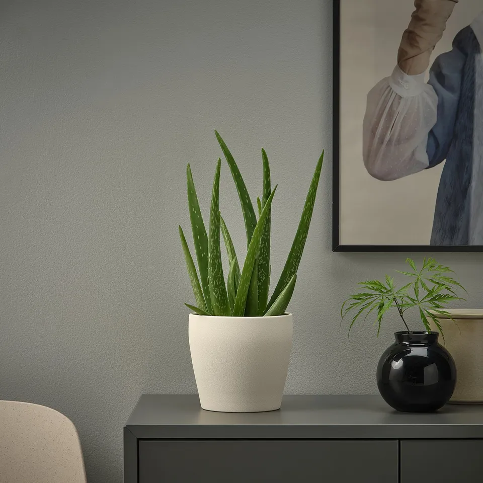 part: PERSILLADE plant pot