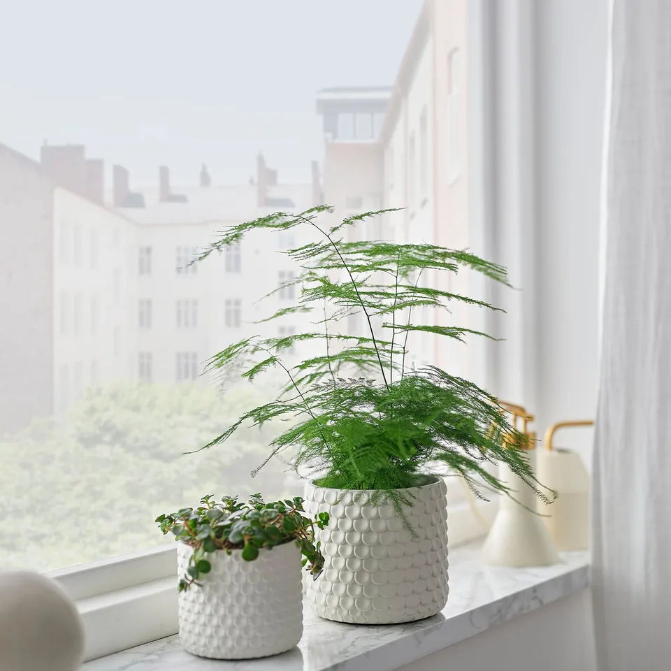 Two white patterned GLACIÄRBJÖRN pots hold plants, one larger, one smaller, near a window with city view.