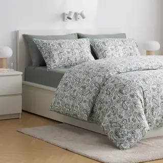 RODGERSIA/DVALA