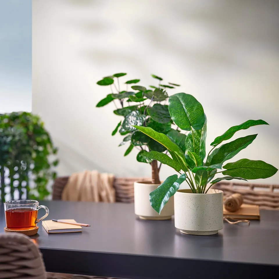part: SANDKÖRSBÄR plant pot