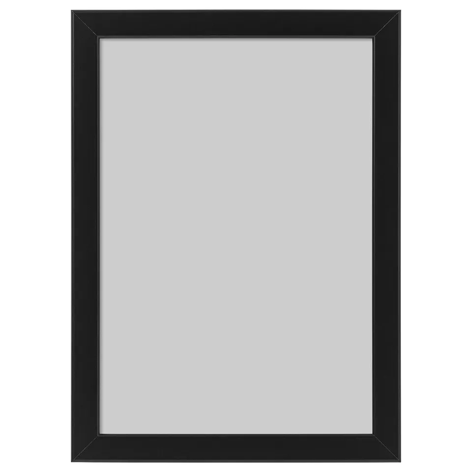 part: FISKBO frame