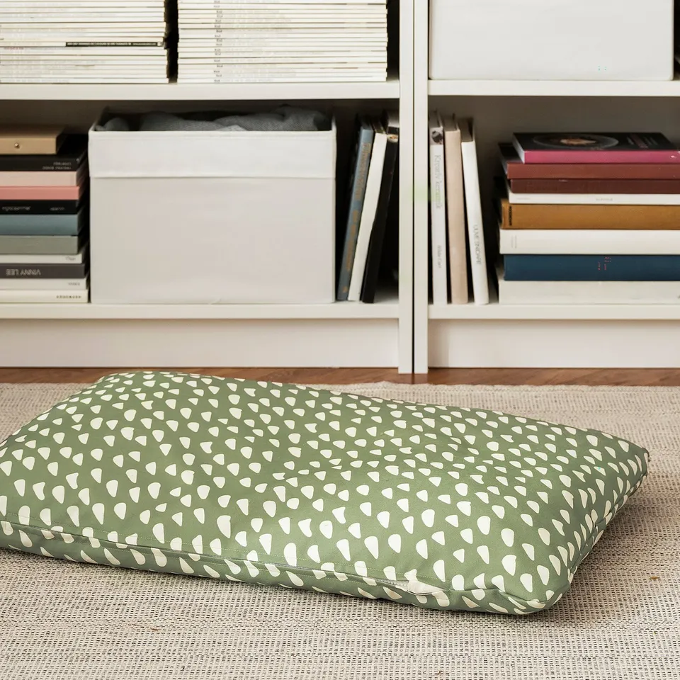 Green cushioned pet bed with white triangular patterns on a beige rug. Behind it, a shelf filled with books and papers.