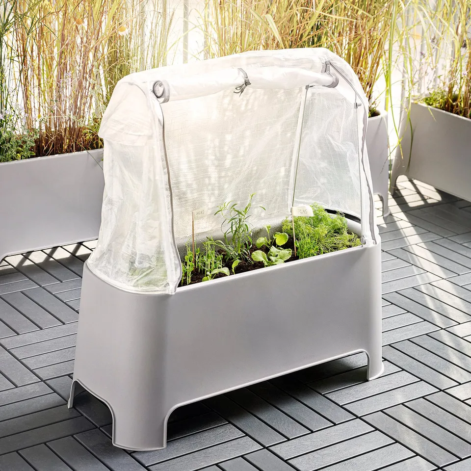 The ASPAREN mini greenhouse, white, protects young plants with its mesh cover, ideal for outdoor use.