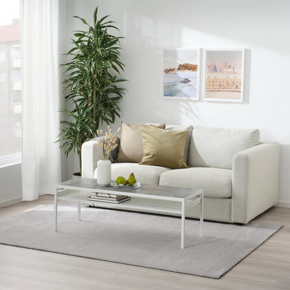 Modern living room with grey rug, sofa, green plant, cityscape art.