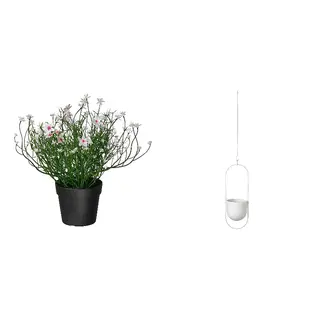 CHILISTRÅN/FEJKA set: artificial potted plant + hanging planter, in/outdoor/Baby's breath white + in/outdoor white, 9 cm