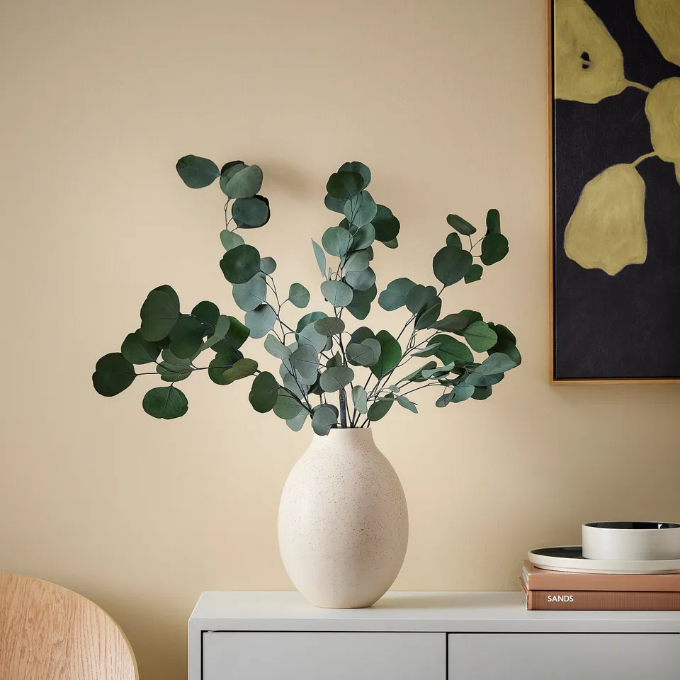 part: TORKA dried plants