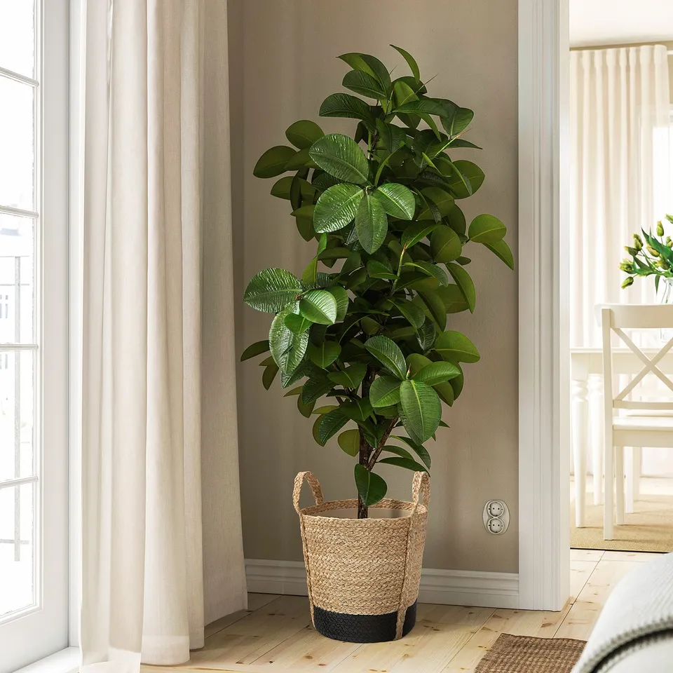 Natural jute cotton plant pot with plastic inner, tall leafy plant by window.