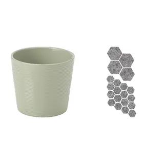 BROKSPIREA/TRIXIG