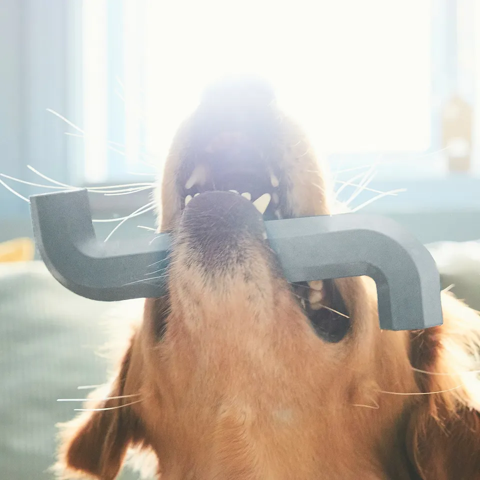 Dog chewing on UTSÅDD rubber toy, designed for play and dental health.