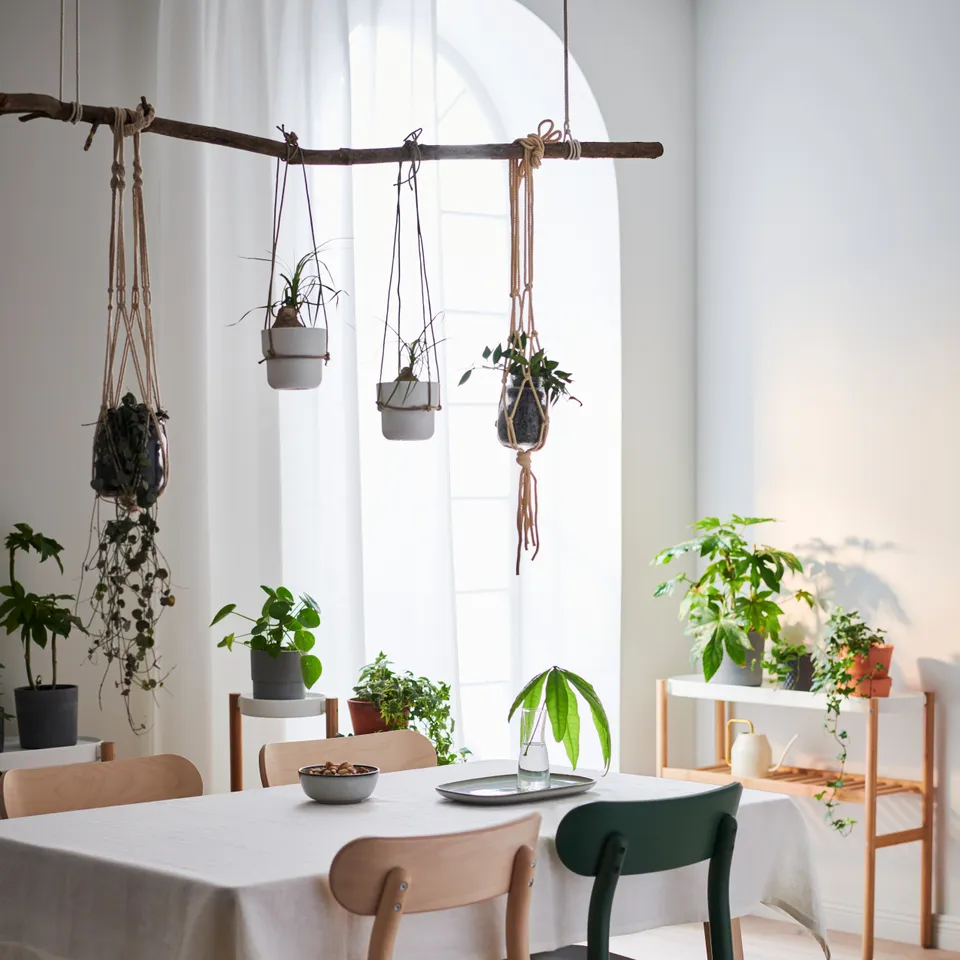 part: SATSUMAS plant stand