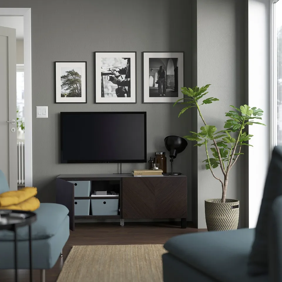 Modern living room with tv and plant