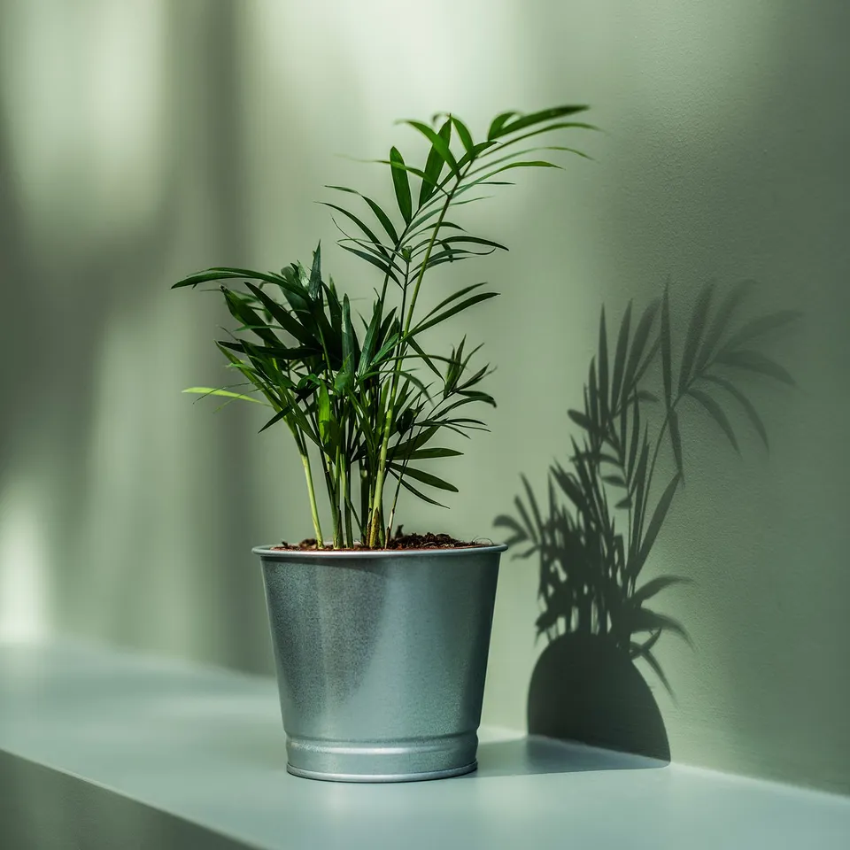 part: BINTJE plant pot
