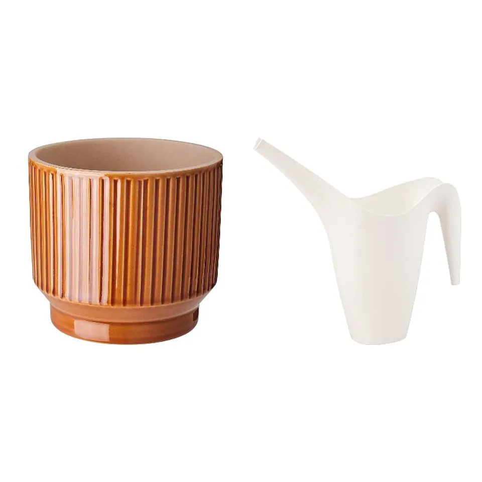 HONUNGSPALM/IKEA, photo 1