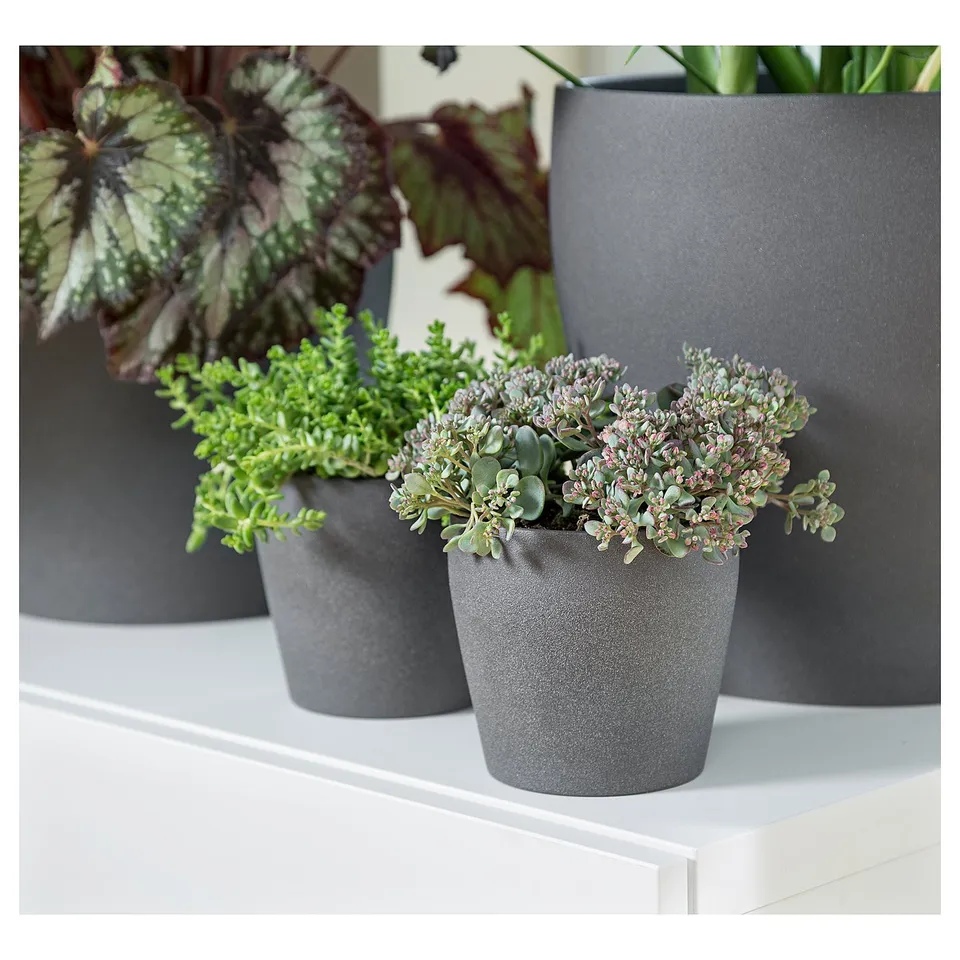 Three grey cylindrical plant pots hold succulents and large-leaf plants, neatly arranged on a white shelf.