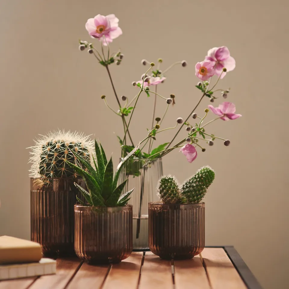 GRADVIS Plant pot, in/outdoor/light brown, 9 cm