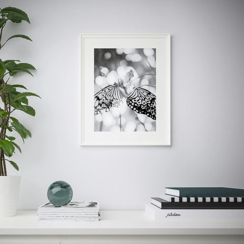 Framed black-and-white butterfly art hangs on a wall, surrounded by a shelf holding books, a vase with a plant, and a decorative sphere.