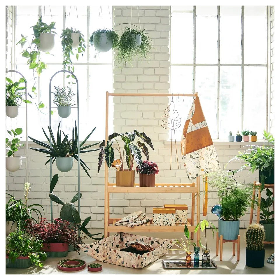 Indoor garden: hanging & standing plants by large window, white brick wall, wooden stand, colourful pots.