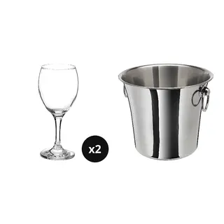 SOLDRÄNKT/ÄNKEBLOMSTER set: wine glass + wine cooler, clear glass + stainless steel, 25 cl
