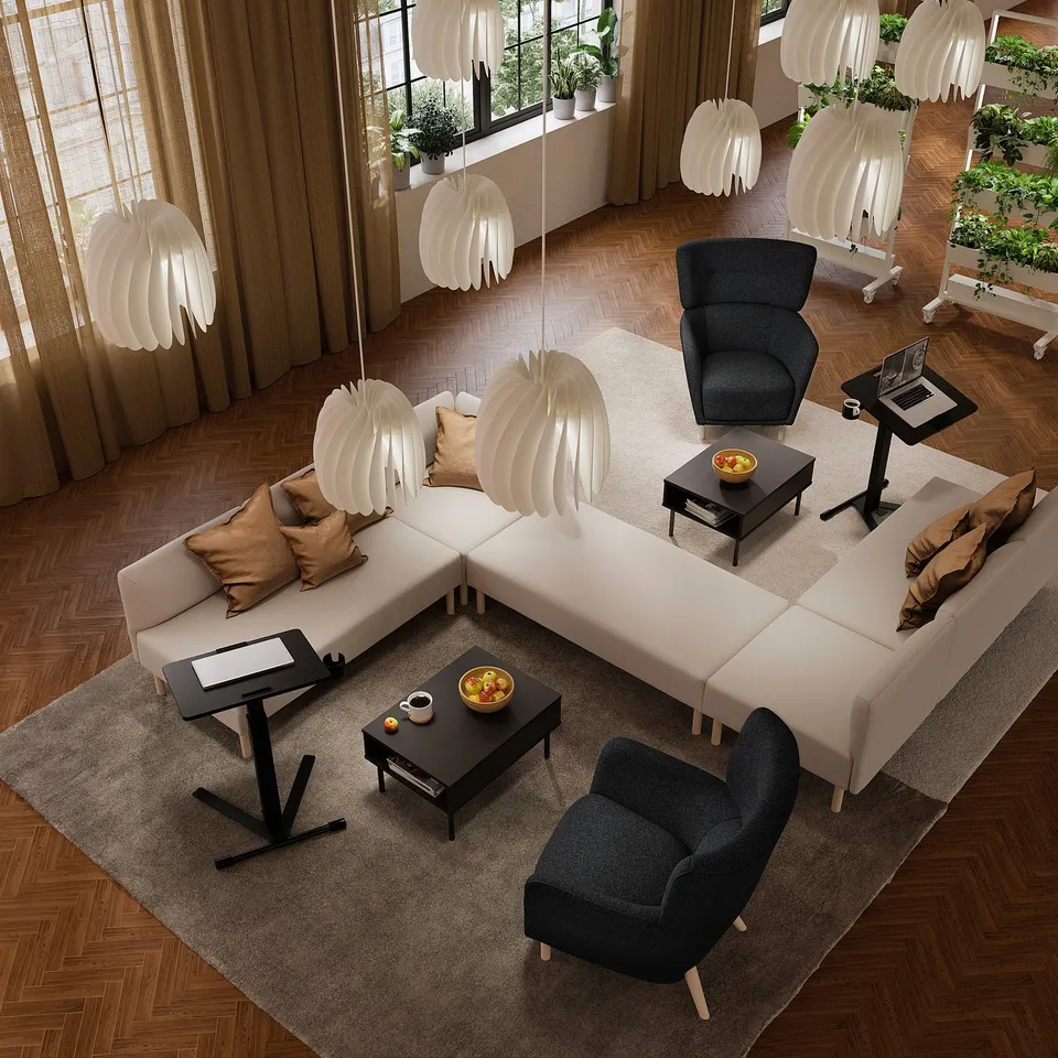 MITTZON in a room