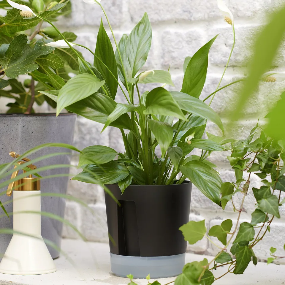 part: VÅRDTRÄD self-watering plant pot