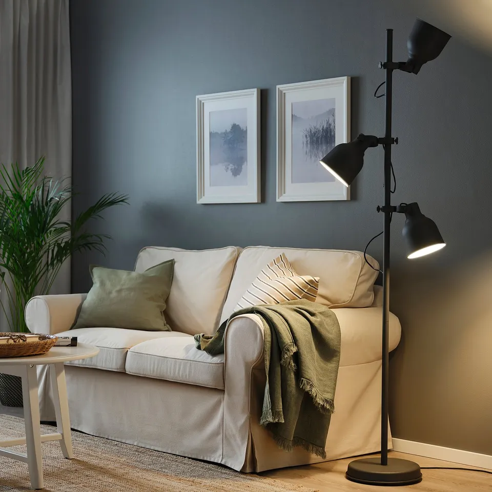HEKTAR in a room