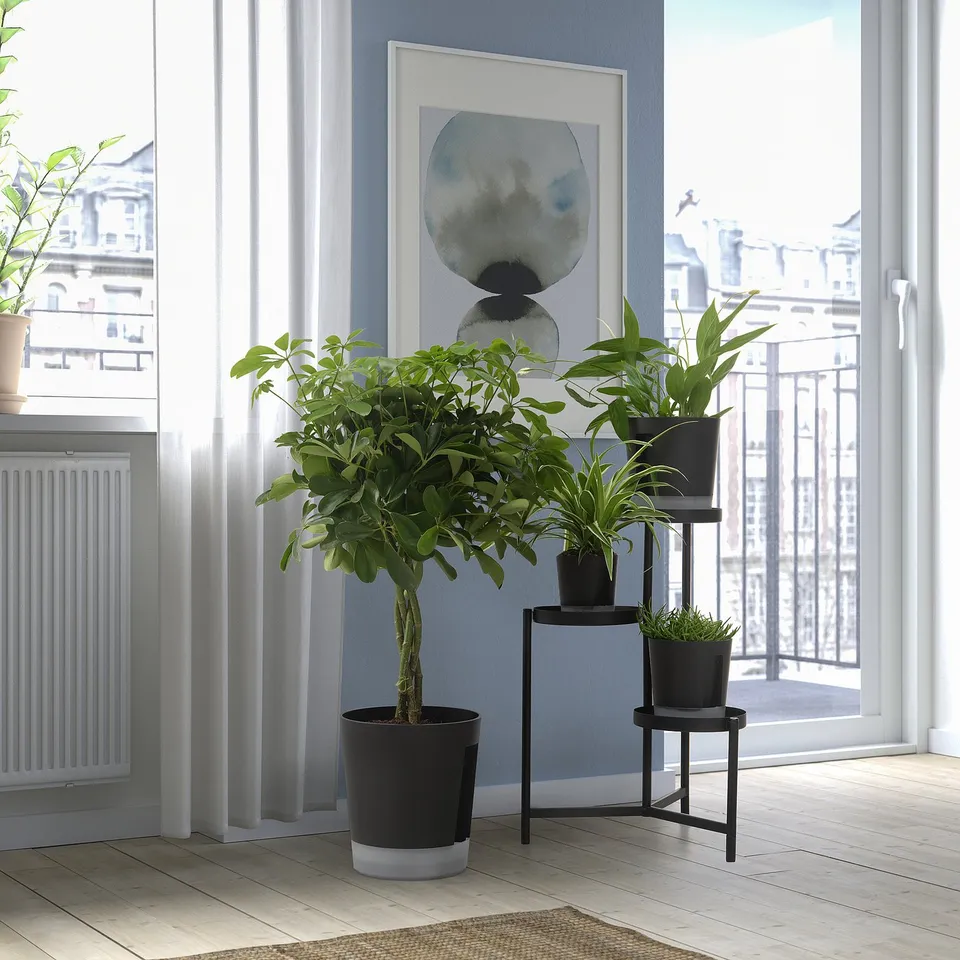 VÅRDTRÄD Self-watering plant pot, in/outdoor transparent/anthracite, 19 cm