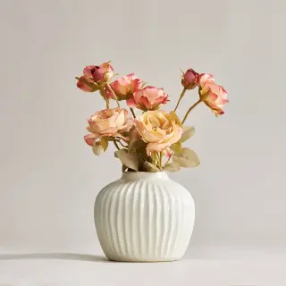 PELARBJÖRK/SMYCKA