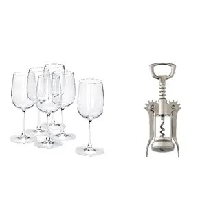 IDEALISK/STORSINT set: white wine glass + corkscrew, clear glass + silver-colour/matt, Height 20 cm