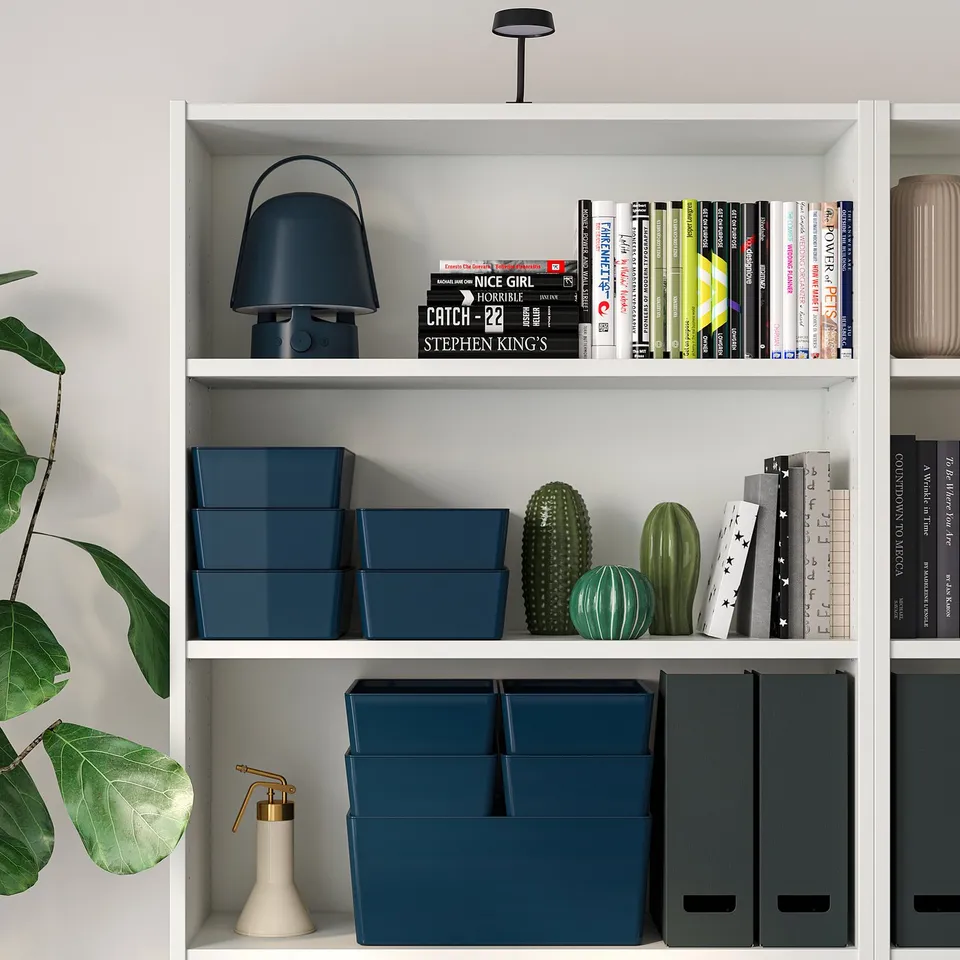 Bookshelf with blue boxes, lamp, and small cacti.