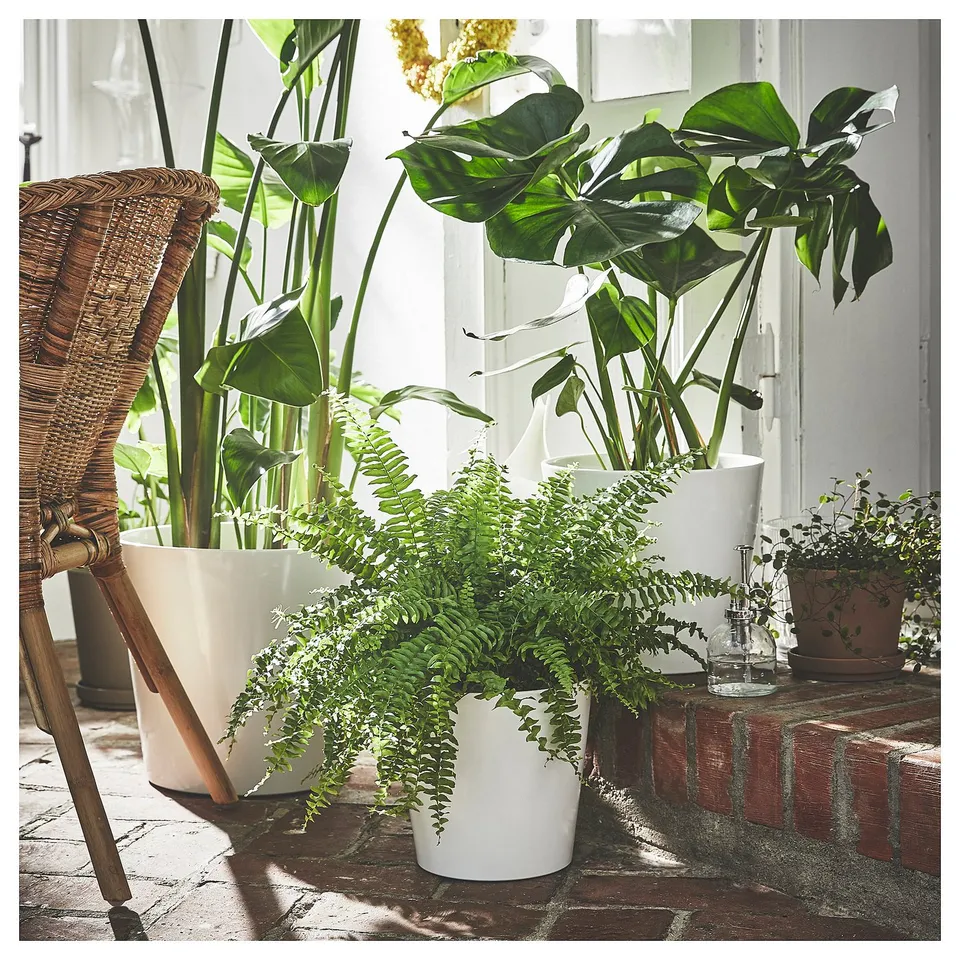 Three potted green plants near bricks, basket.