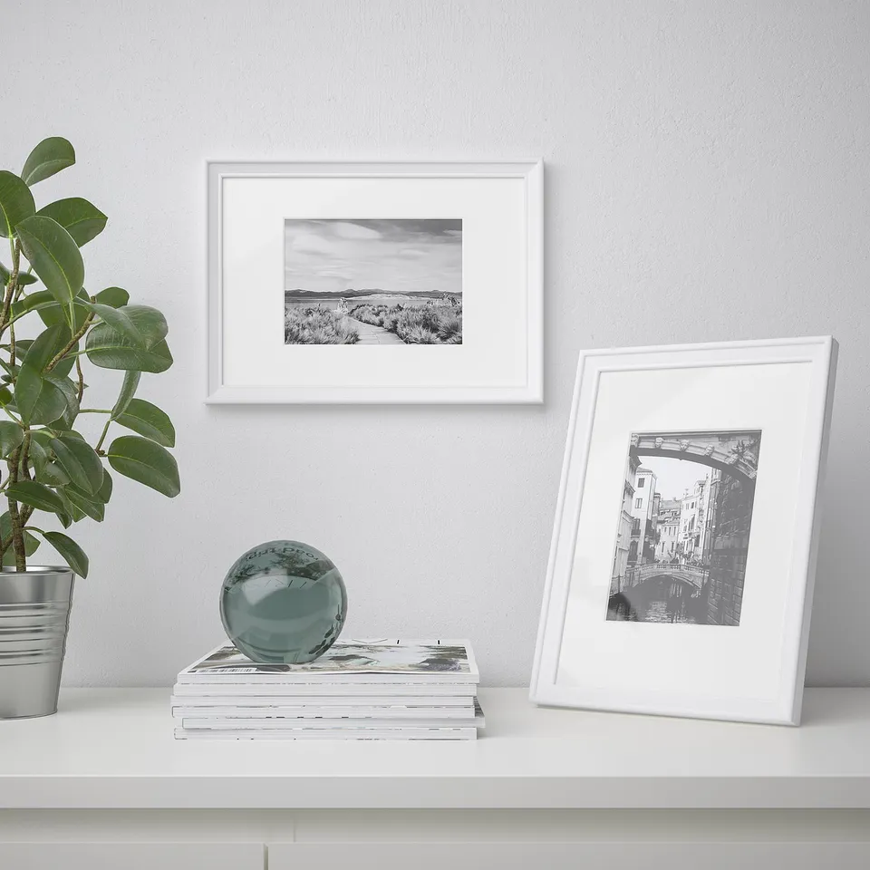 A white shelf with a plant, books, and two picture frames. One frame is upright displaying a bridge photo, the other hangs showing a landscape.