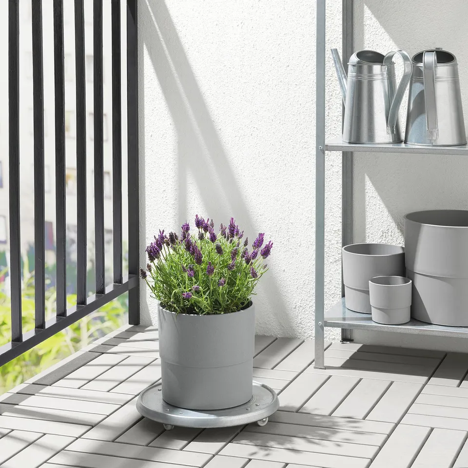 Balcony with lavender, grey pots, and watering cans.