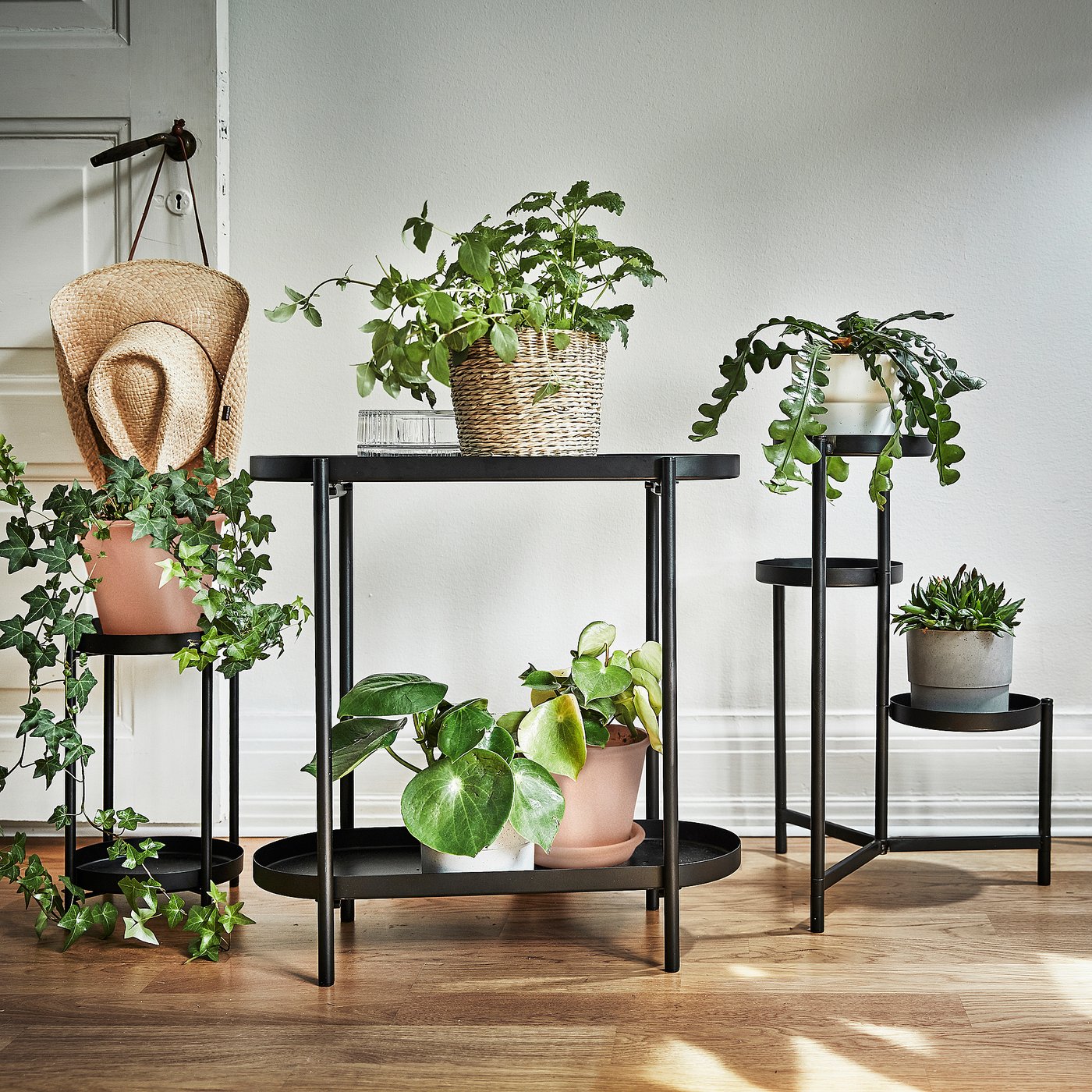 Indoor/outdoor plant stand with varying shelf levels, displaying multiple potted plants in black.
