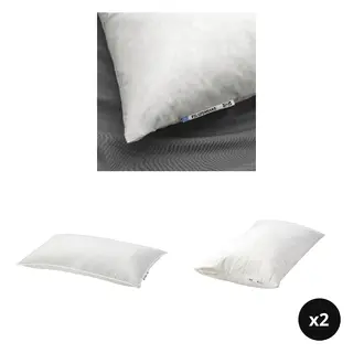 LUDDROS/PILSPINNARE/VILDKORN set: pillow, high + pillow, low + pillow protector x2, 50x80 cm