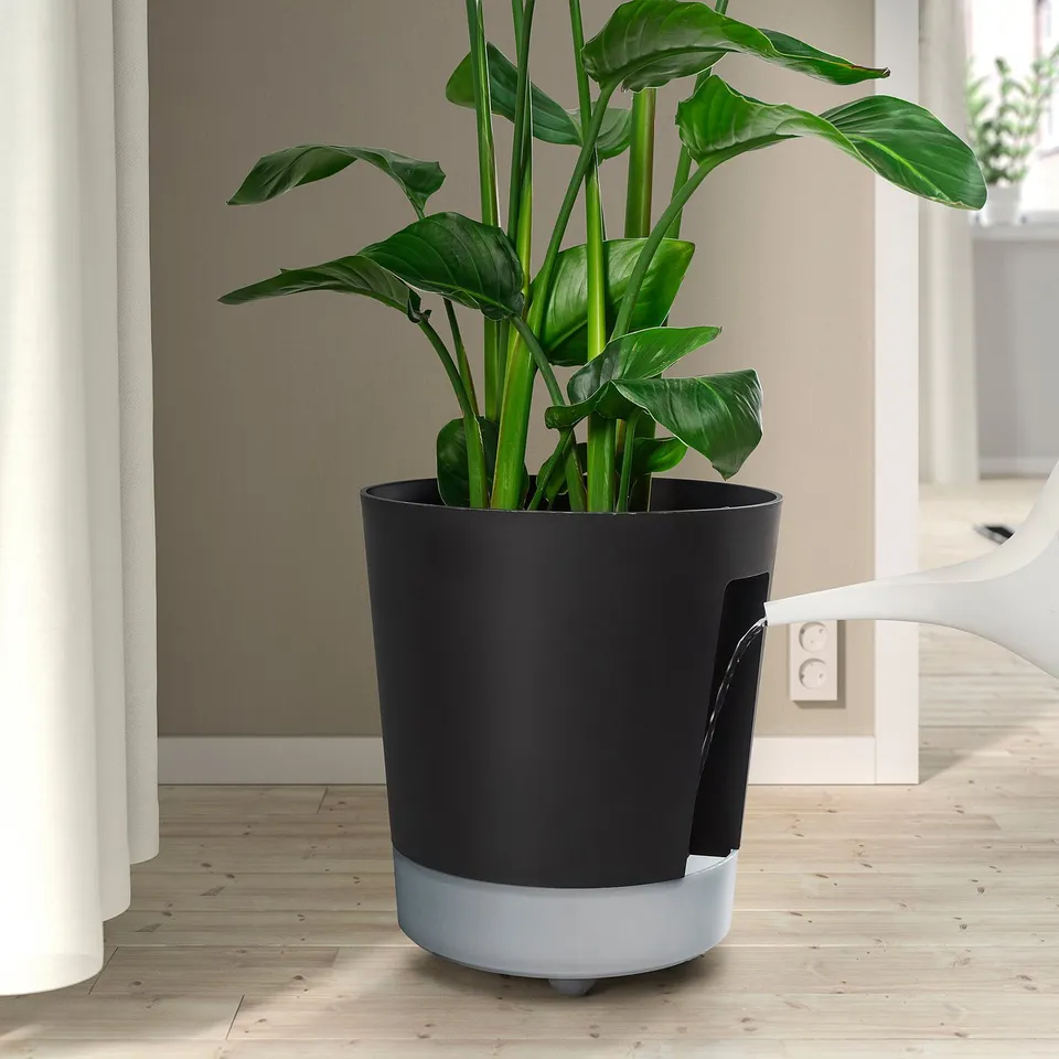 Black self-watering planter with wheels and green plant.