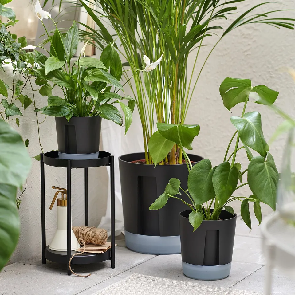 Three lush green plants in modern black and grey self-watering pots, one on a stand with a white watering can, placed on a grey floor.