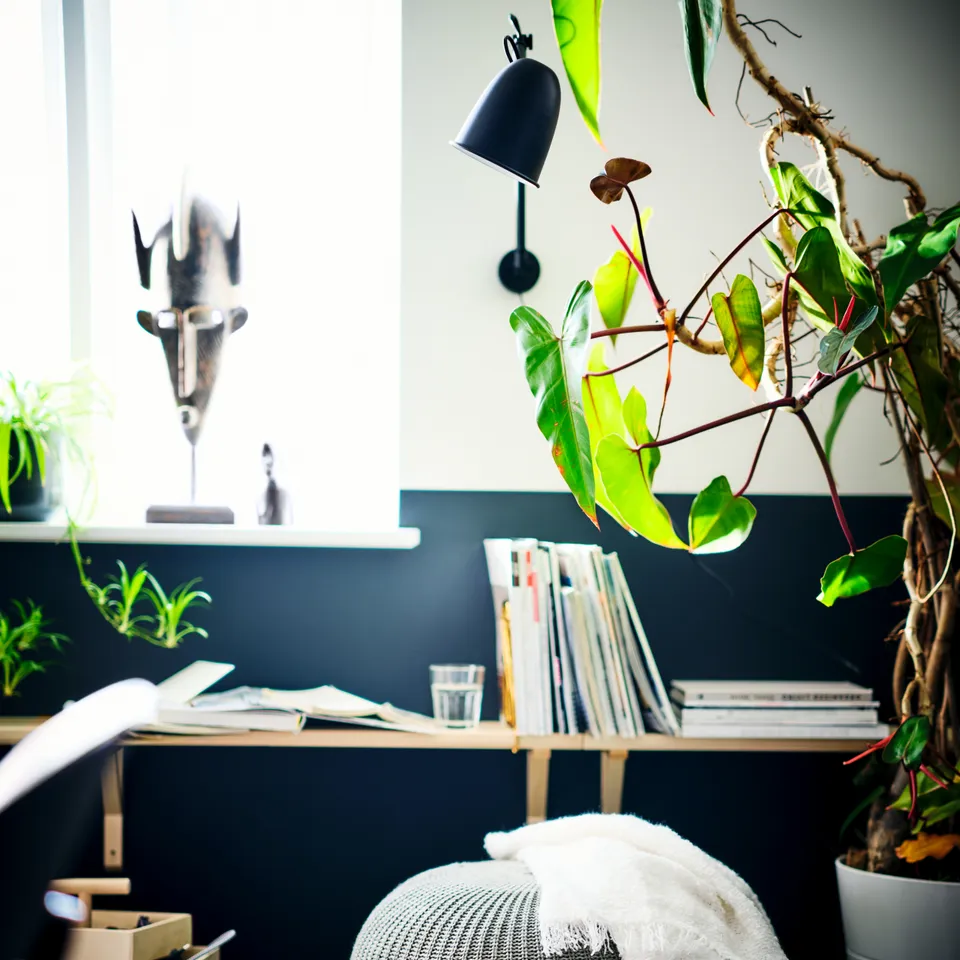 TRANHULT, photo 3
