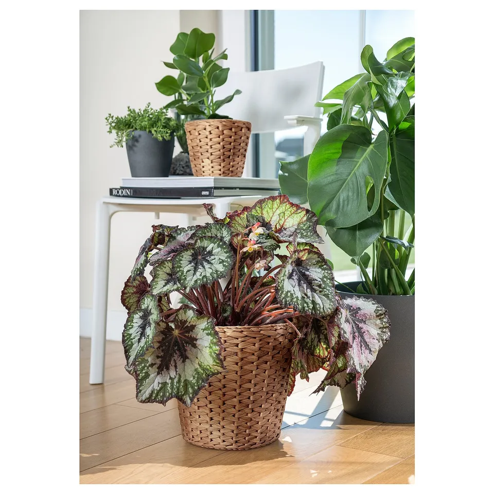 part: FRIDFULL plant pot