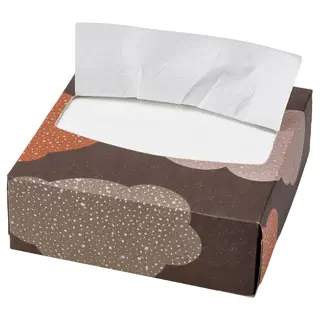 HÖSTAGILLE paper napkin with box, -, 32x16 cm