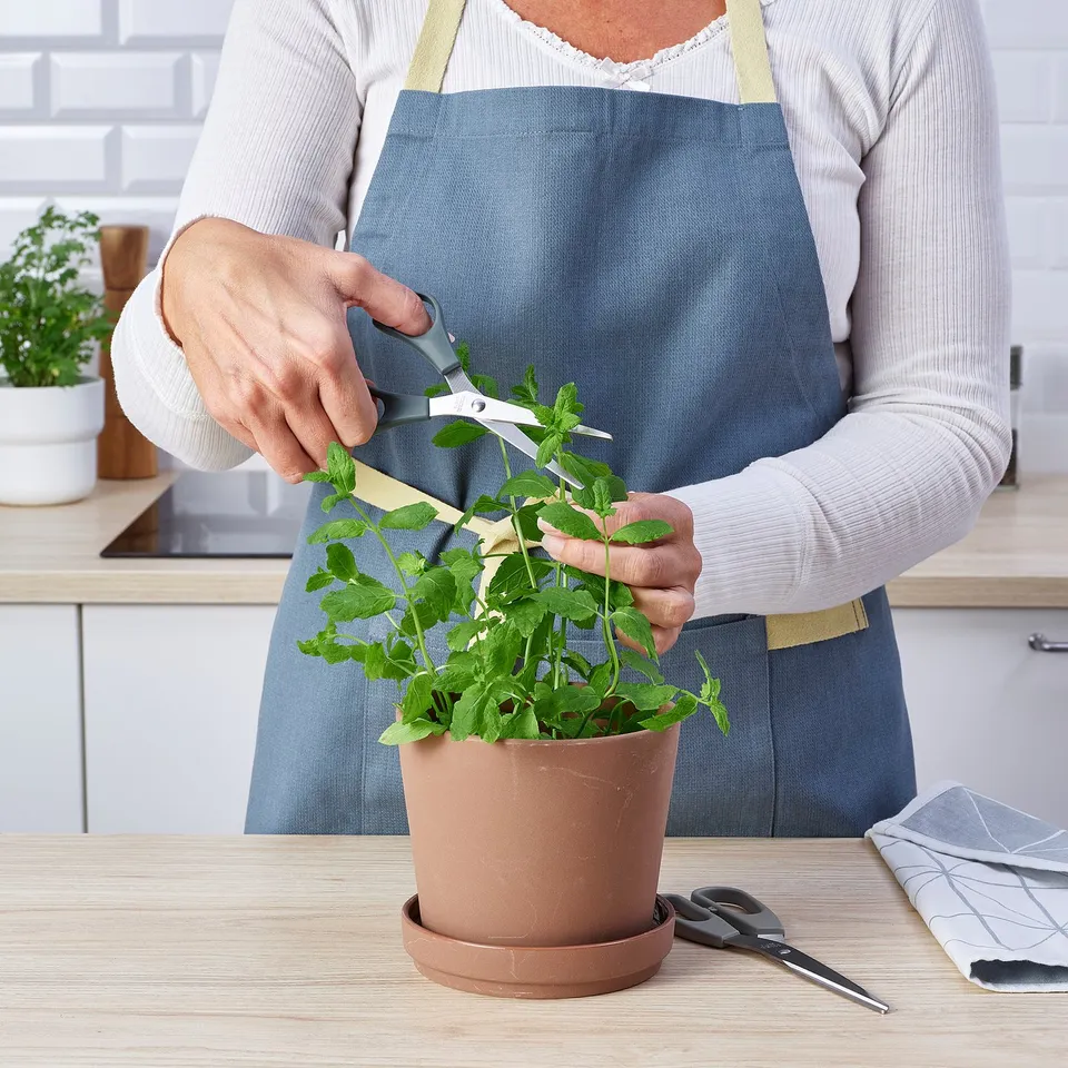 A person trims herbs using multi-purpose scissors, ideal for both right and left-handed use.